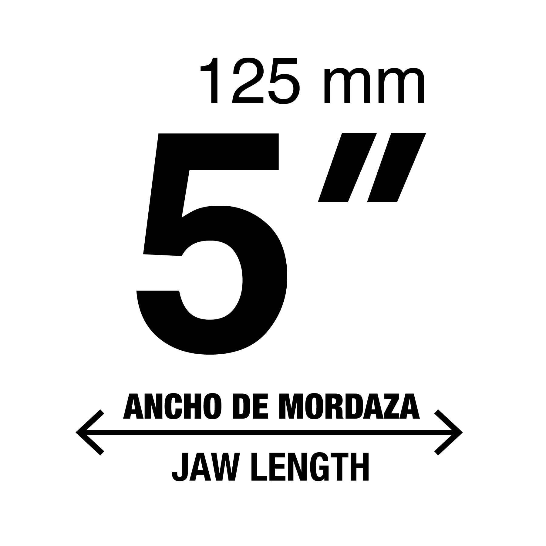 tornillo-de-banco-5-de-hierro-gris-pretul-be3