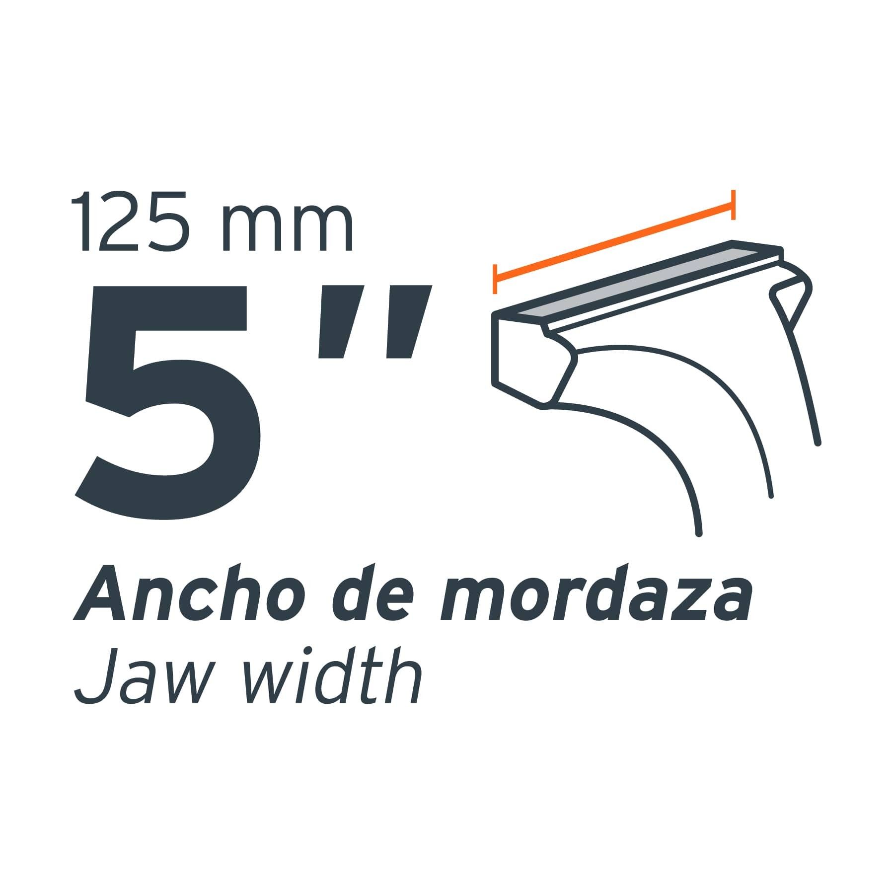 tornillo-de-banco-5-uso-industrial-de-hierro-nodular-677
